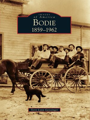 cover image of Bodie